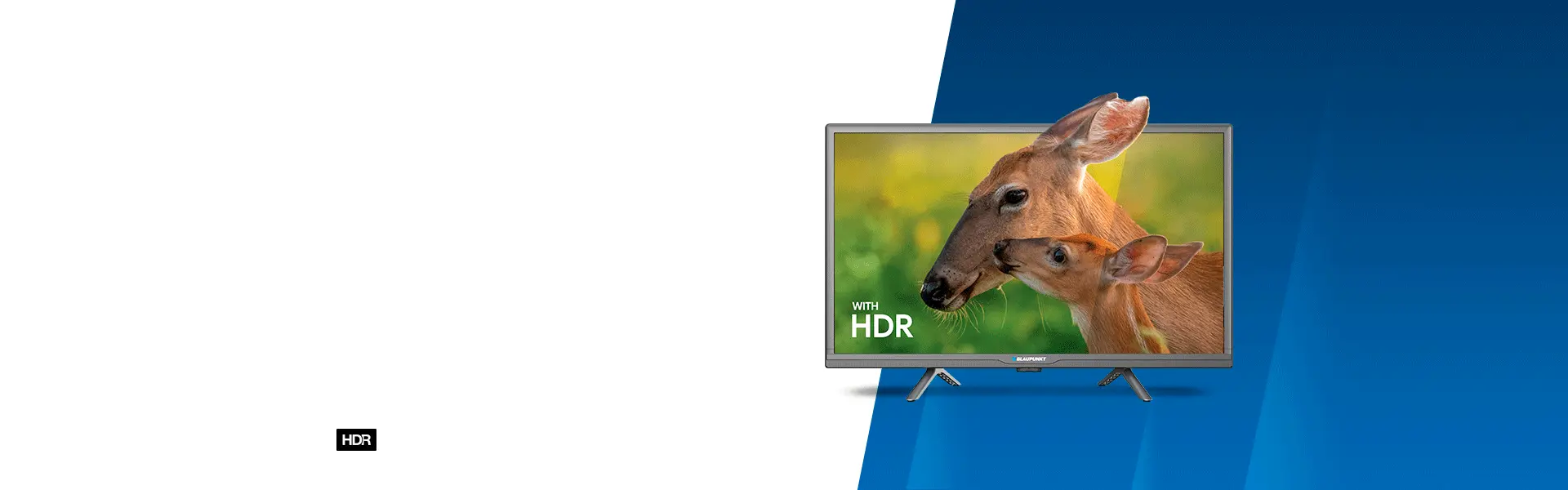 Fernseher Blaupunkt HD Google TV 24HBG5000S