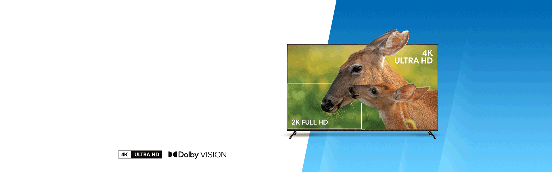 Fernseher Blaupunkt UHD 4K Google TV 55UBG6000S