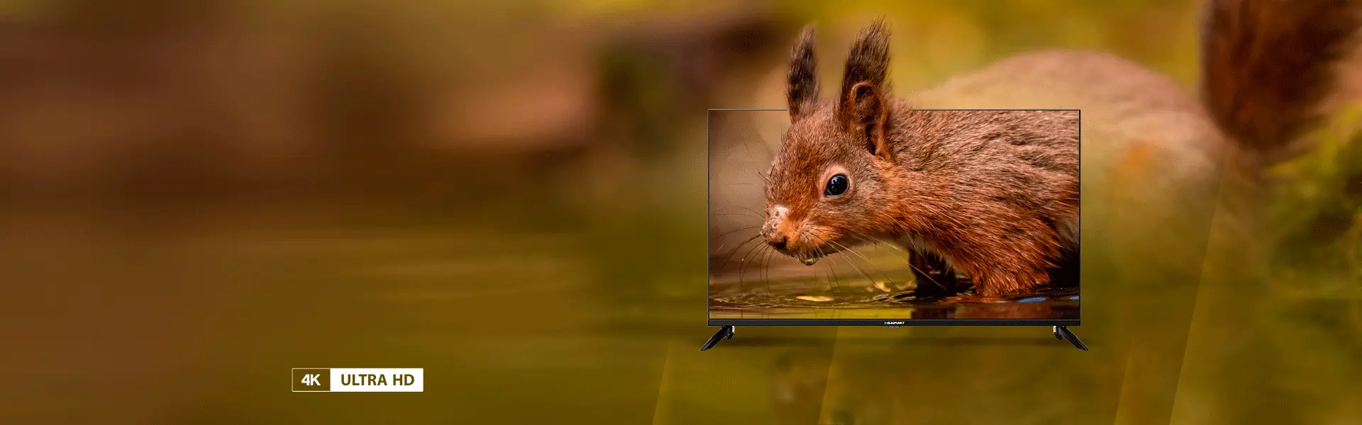 Fernseher Blaupunkt UHD 4K Google TV 43UBG6000S