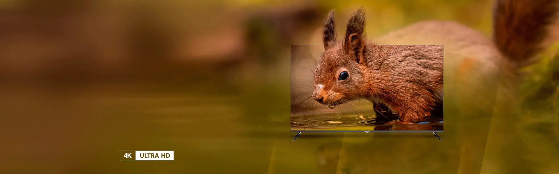 Fernseher Blaupunkt UHD 4K Google TV 55UBG6000S